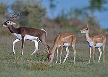 80d565af5a.jpg