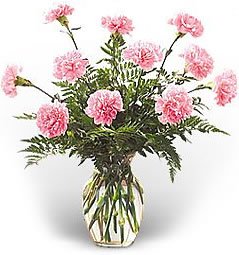 8fa6d13693.jpg