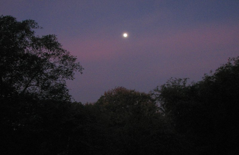 jul_28_5655_evening.jpg