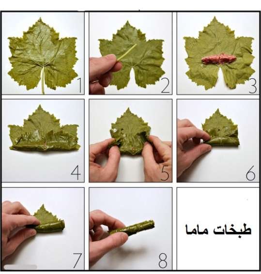طريقه لف اصابع ورق العنب بالصور بالخطوات للمبتدئين
