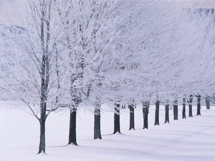 winter.capa.ru.010.jpg