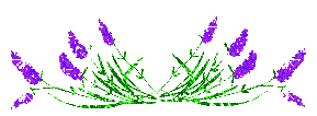 988.gif
