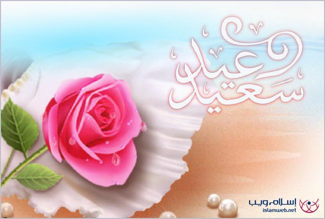 card8.jpg