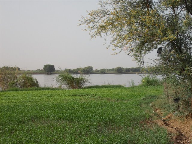 15428770.jpg