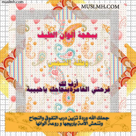 www.1aim.net026216de1c.jpg