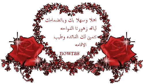 www.1aim.net2b214cdec0.gif