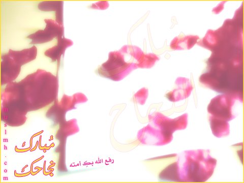 www.1aim.net49a4eeae74.jpg