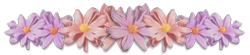 13612226338.gif