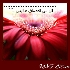 136171285515.gif