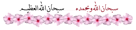 136182293110.gif