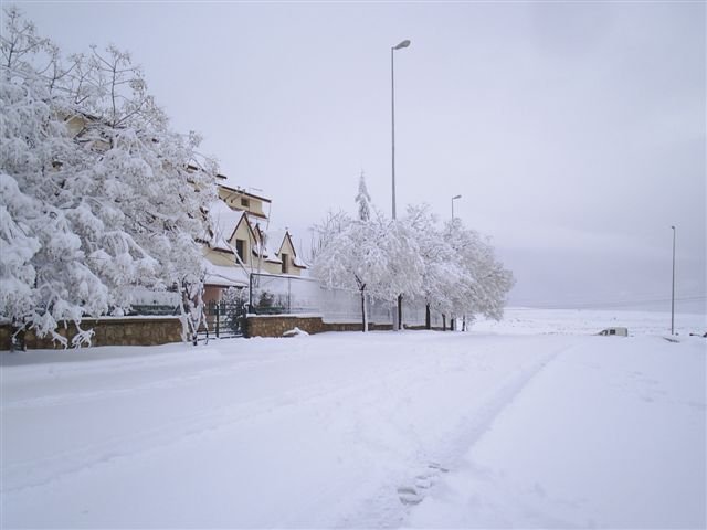 32607.jpg