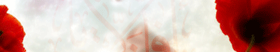 8abb89e69e.gif