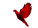 160401372074223.gif