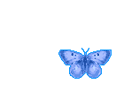 11257745491.gif