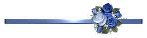 11277452092.gif