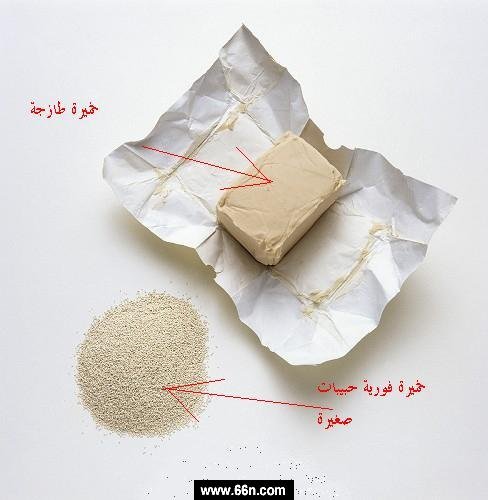 plavb052cyvui3vjxvd2dhfd7el7b80r.jpg