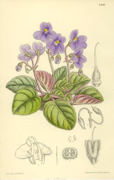169.jpg