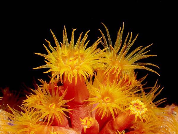5430almuhands.org.jpg