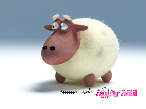 anaqamaghribiac0fb58034b.png