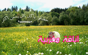 anaqamaghribiaf53ef9dfe0.png