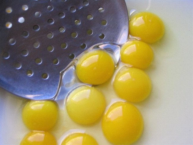 egg766mh6.jpg