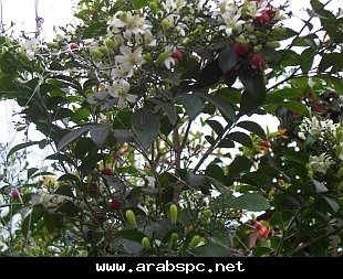 19db2cc83c.jpg