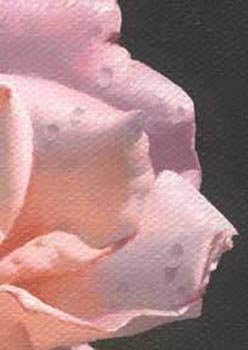 Finishing_Layer_3_Detail.jpg