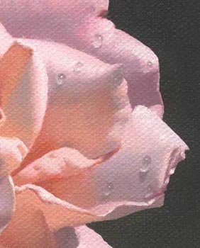 Finishing_Layer_Detail_3.jpg