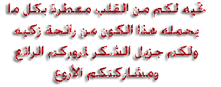 497e9e6ef8.gif