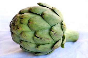 artichoke.jpg
