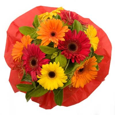 gerbera-bouquet-bright-delight-b1l.jpg