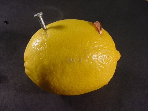 lemon_nail_penny.jpg
