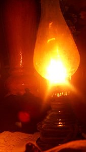 NoElectricityUseLambs.jpg
