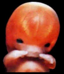 shahar3.jpg