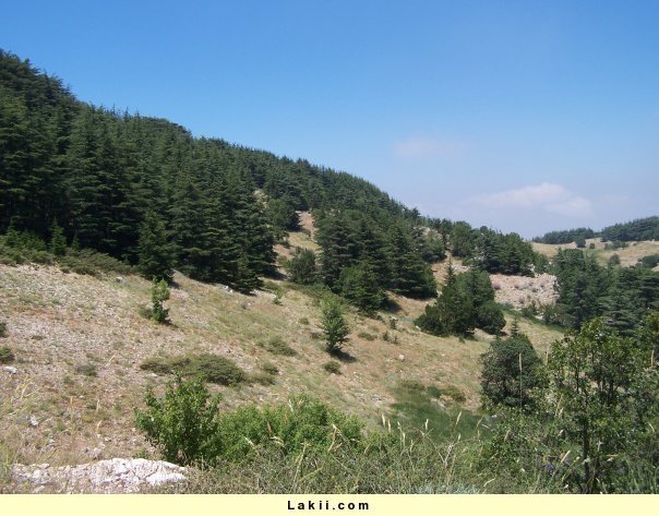 M6CMzn08222026.jpg