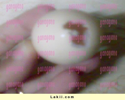 s91PQv02292354.jpg