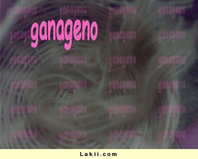 g6leCm03010002.jpg