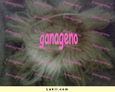 k6lRKm03010004.jpg