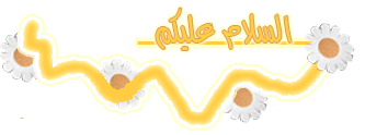 MKBL3l08160053.gif