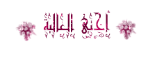 hanaa_YSTUVr.gif