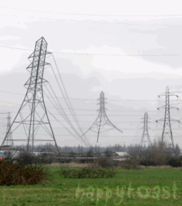 041910120422hypsnqewkcf.gif