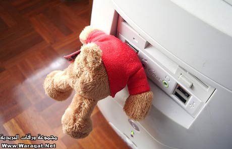 092910210907dtluwyrj.jpg
