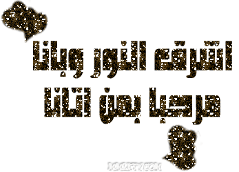 11.gif
