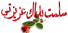 0569944524-ef561d817b.gif