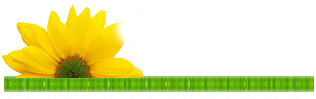 Fassselllyy33.png