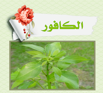 Green_Pharmacy.44.png