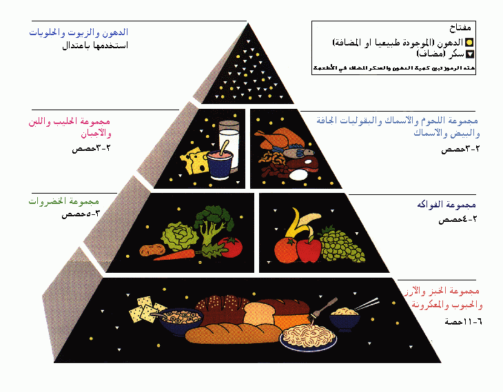 دليلك للوصول للرشاقة بصحة و عافية ما هو الهرم الغذائى مرجع شامل منتدى الصحة والرشاقة أخوات طريق الإسلام