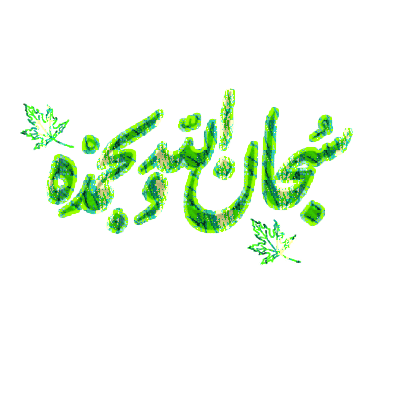 alweed3.gif