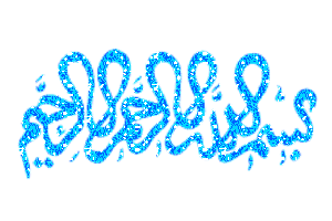 besm2.gif