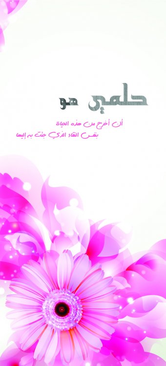 file1989697072.jpg